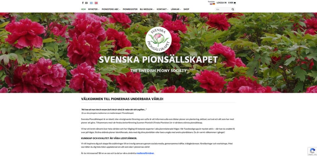 Pionisten